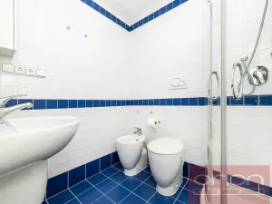 Pronájem bytu 3+1, Praha - Malá Strana, Sněmovní, 85 m2