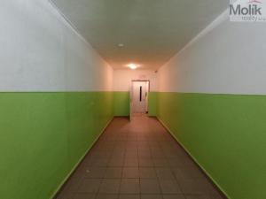 Prodej bytu 1+kk, Most, U Věžových domů, 22 m2