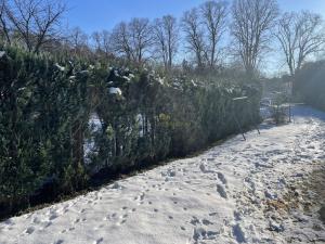 Prodej rodinného domu, Mnichovo Hradiště, Klášterská, 100 m2