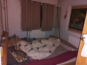 Dražba rodinného domu, Zbiroh, Vlčí jáma, 308 m2