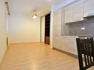 Pronájem bytu 1+kk, Praha - Bubeneč, Jednořadá, 30 m2