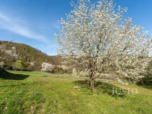 Prodej pozemku pro bydlení, Solenice, 8019 m2