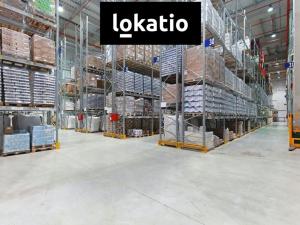 Pronájem skladu, Kostelec - Ostrov u Stříbra, 11700 m2