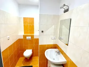 Prodej bytu 2+kk, Lovosice, Mírová, 55 m2