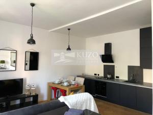 Prodej bytu 1+kk, Karlovy Vary, Sadová, 46 m2