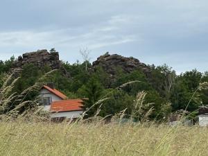 Prodej vícegeneračního domu, Černolice, Pod Hůrkou, 420 m2