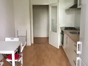 Pronájem bytu 1+1, Praha - Vinohrady, Mánesova, 45 m2