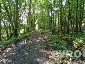 Prodej zemědělského objektu, Přimda, okres tachov, 793 m2