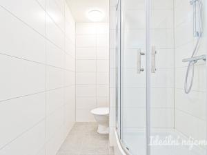 Pronájem bytu 2+kk, Brno, Kyjevská, 40 m2