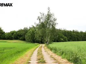 Prodej rybníku, Čejov - Hadina, 190028 m2