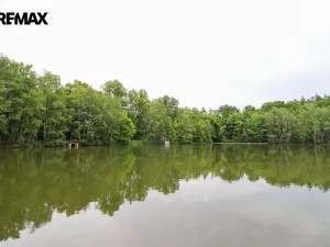 Prodej rybníku, Čejov - Hadina, 190028 m2