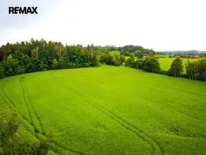 Prodej rybníku, Čejov - Hadina, 190028 m2