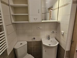 Pronájem bytu 1+kk, Praha - Vyšehrad, Neklanova, 22 m2