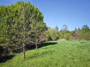 Prodej pozemku pro bydlení, Velké Popovice, 2518 m2