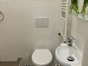 Pronájem bytu 1+1, Ostrava - Zábřeh, Čujkovova, 28 m2