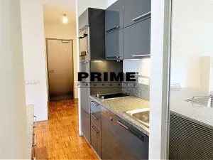 Pronájem bytu 2+kk, Praha - Žižkov, Prokopova, 56 m2