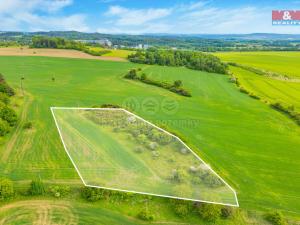 Prodej louky, Lešetice, 6006 m2