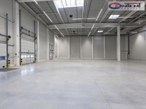 Pronájem skladu, Ostrava - Vítkovice, 16000 m2