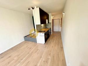 Pronájem bytu 1+kk, Strakonice - Přední Ptákovice, Šumavská, 25 m2