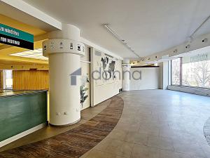 Pronájem obchodního prostoru, Praha - Nové Město, Václavské náměstí, 480 m2
