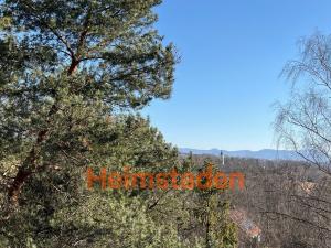 Pronájem bytu 3+1, Havířov - Město, Slezská, 61 m2