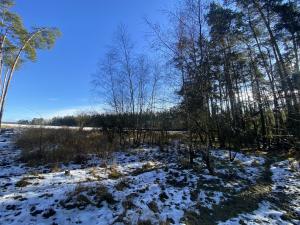 Prodej lesa, Všehrdy, 2484 m2