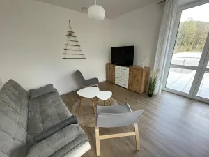 Pronájem bytu 2+kk, Černý Důl, 61 m2