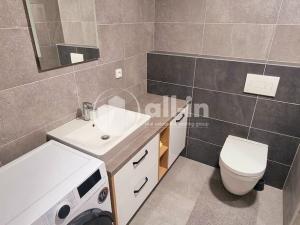 Pronájem bytu 1+kk, Vyškov - Dědice, Sídliště Osvobození, 29 m2