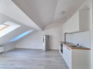 Pronájem bytu 1+kk, Praha - Bubeneč, U zeměpisného ústavu, 34 m2