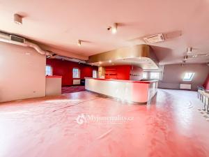 Pronájem obchodního prostoru, Znojmo - Oblekovice, Evropská, 230 m2