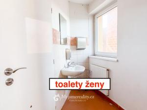 Pronájem obchodního prostoru, Znojmo - Oblekovice, Evropská, 230 m2