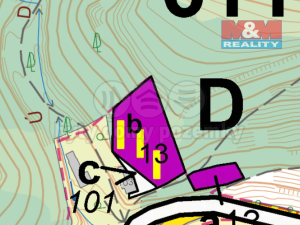 Prodej lesa, Ústí nad Orlicí - Oldřichovice, 2745 m2