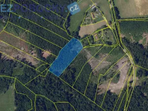 Prodej lesa, Vysočina, 26720 m2