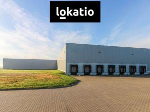 Pronájem skladu, Hustopeče, 11880 m2