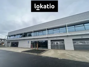Pronájem skladu, Ostrava - Hrabůvka, 461 m2