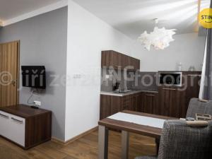 Pronájem bytu 1+kk, Třinec, Pod břehem, 40 m2