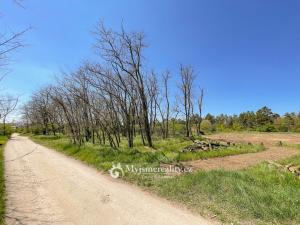 Prodej zahrady, Znojmo - Konice, 1003 m2