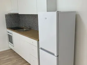 Pronájem bytu 1+kk, Praha - Libeň, Františka Kadlece, 41 m2