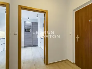 Pronájem bytu 1+kk, Praha - Bubeneč, Mlýnská, 37 m2