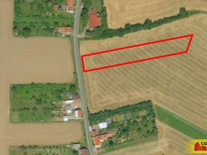 Prodej pozemku pro bydlení, Koryčany - Blišice, 3990 m2