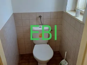 Prodej rodinného domu, Rokytnice nad Jizerou - Horní Rokytnice, Horní Rokytnice, 290 m2