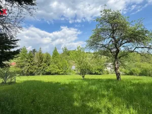 Prodej pozemku pro bydlení, Oskava - Třemešek, 1922 m2
