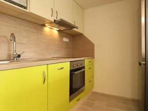 Pronájem bytu 1+kk, Brno, Vídeňská, 35 m2