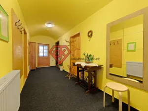 Prodej chalupy, Orličky, 663 m2