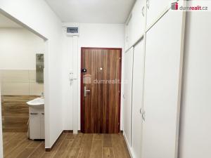 Pronájem bytu 1+kk, Ústí nad Labem - Krásné Březno, Neštěmická, 32 m2