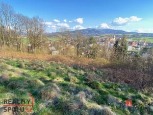 Prodej pozemku pro bydlení, Janovice, 9446 m2