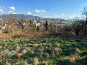 Prodej pozemku pro bydlení, Janovice, 9446 m2