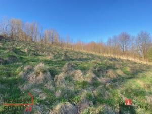 Prodej pozemku pro bydlení, Janovice, 9446 m2