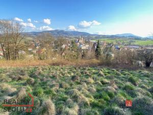 Prodej pozemku pro bydlení, Janovice, 9446 m2