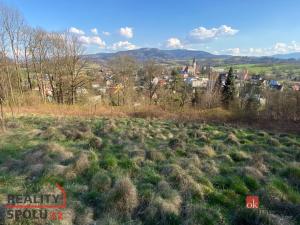 Prodej pozemku pro bydlení, Janovice, 9446 m2